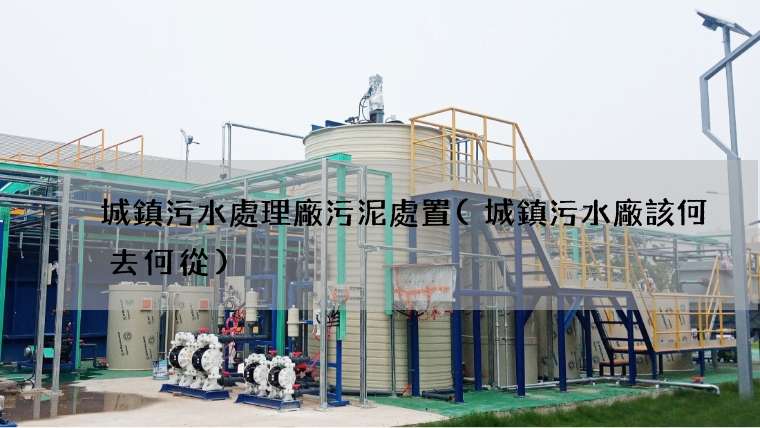 城鎮污水處理廠污泥處置(城鎮污水廠該何去何從)